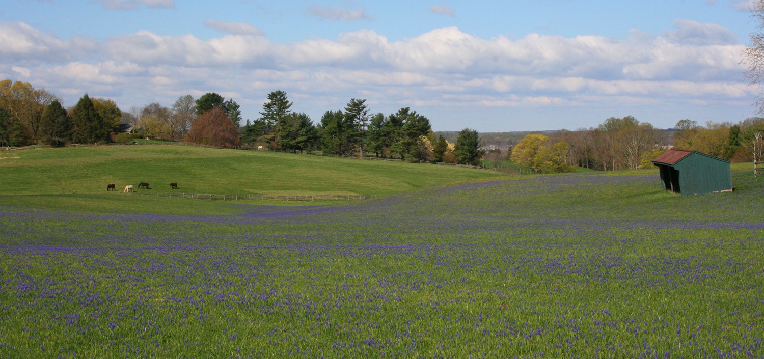 Chester County Cultural Heritage